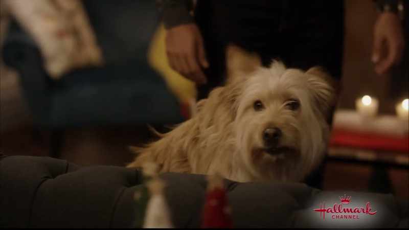 Apparently, so is Bailey