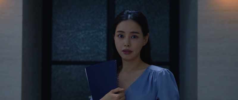 Appeared in the 2008 drama