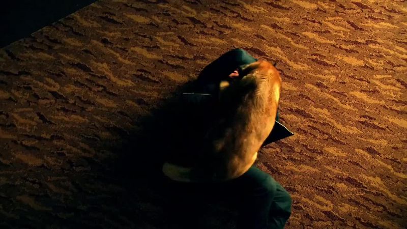 Appears to be a piece of fabric