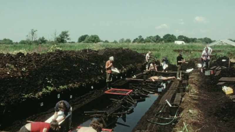 Archeologists named it the Sweet track