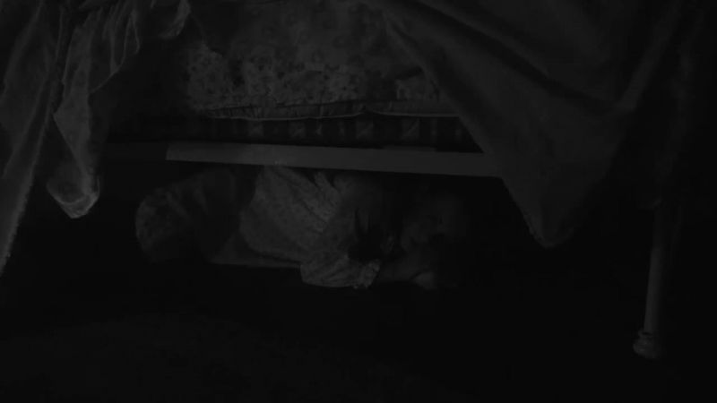 [Archie] They were hiding under the bed