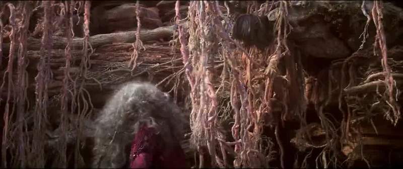 Are you a Gelfling