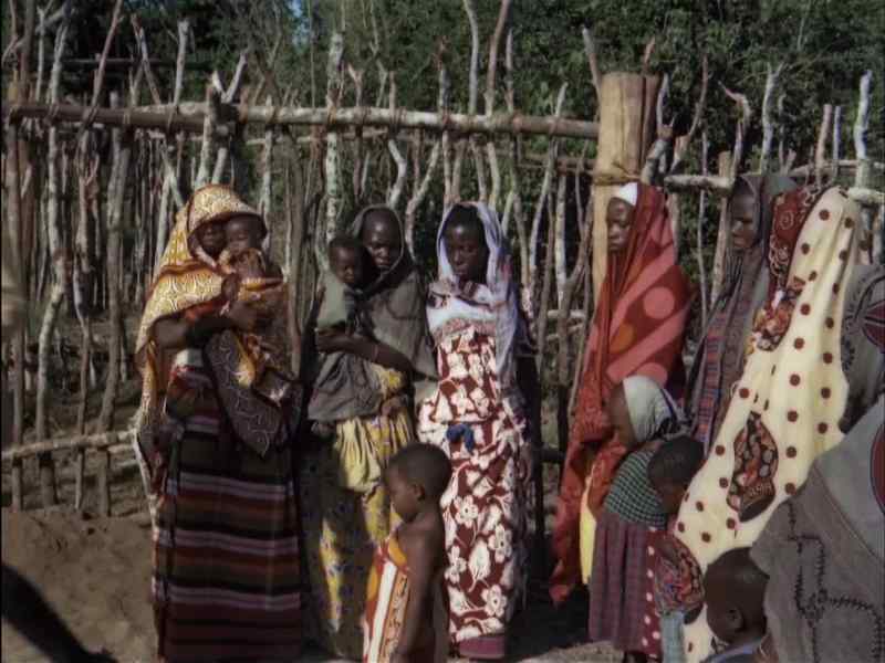 Are they all Muntala's wives?