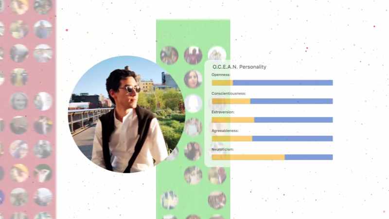 are analyzed