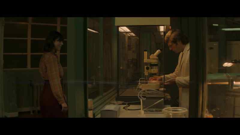 Are they chocolate biscuits? - What a treat