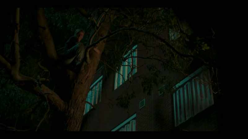 Are they going to die? - No. No