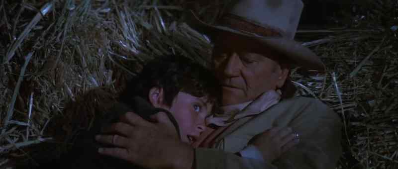 Are you hurt? - No, I'm scared