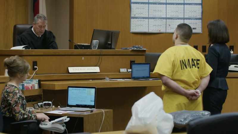 Are you pleading guilty in each of these cases
