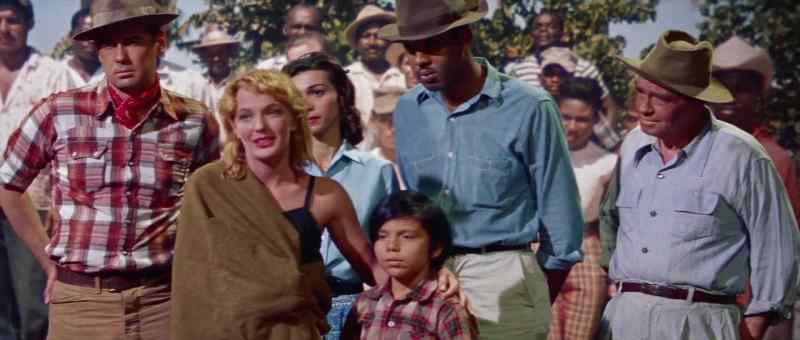 Are they really dinosaurs, Senorita Betty?