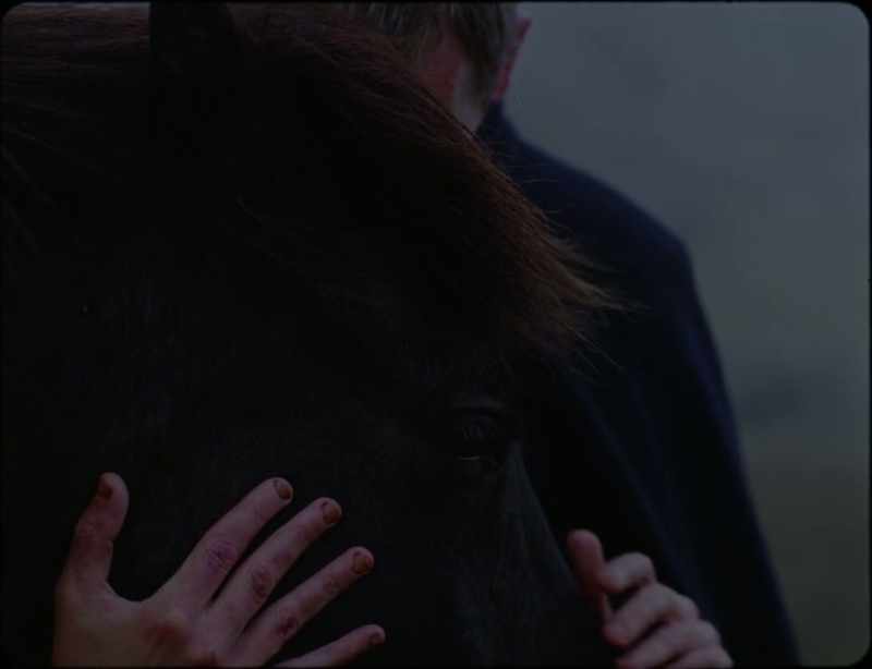 Are you the flying horse, swooping down from the heavens to devour us?