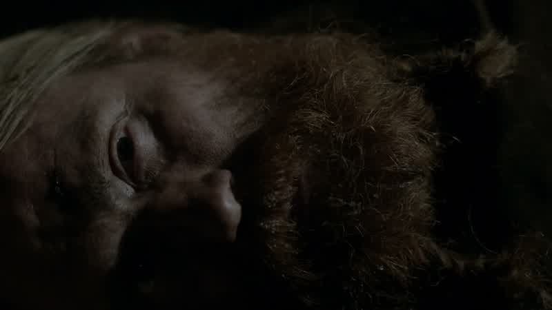 Are you looking forward to my execution?