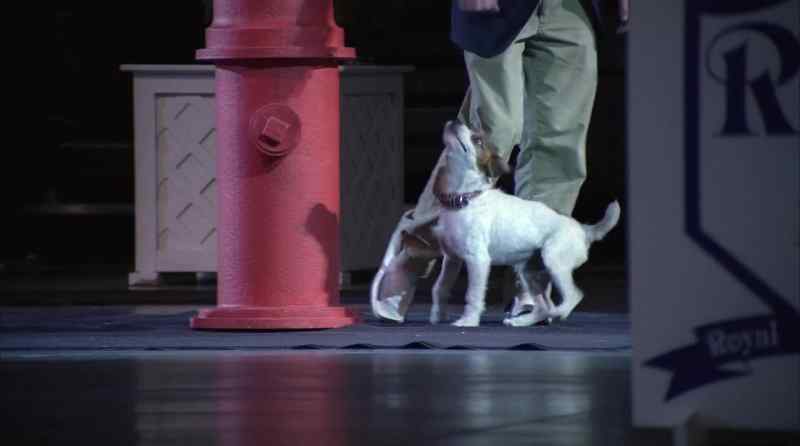 [ARF ARF]