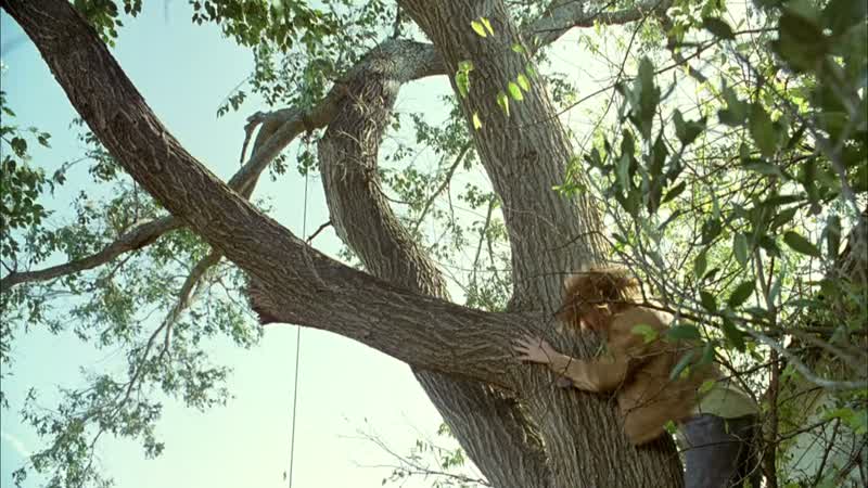 Arnie! It's not funny! Get back here!