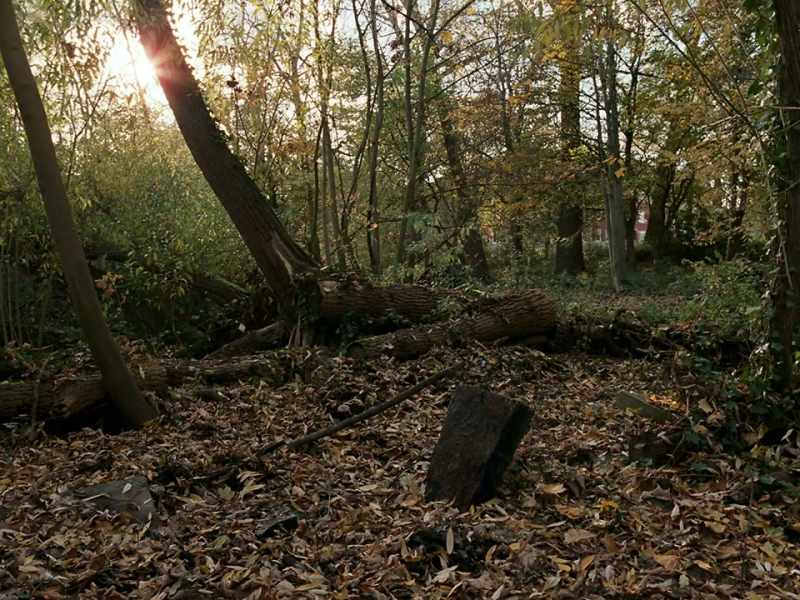 Around 100,000 people are buried here