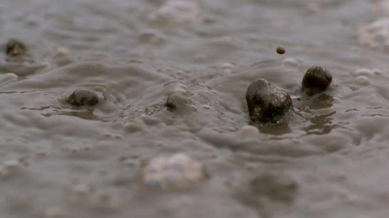 Around two billion years ago, when nothing lived on Earth except microbes