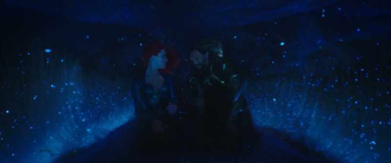 Arrest them and bring back King Nereus' daughter unharmed