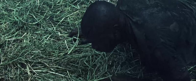 Arthur. Arthur! You okay?