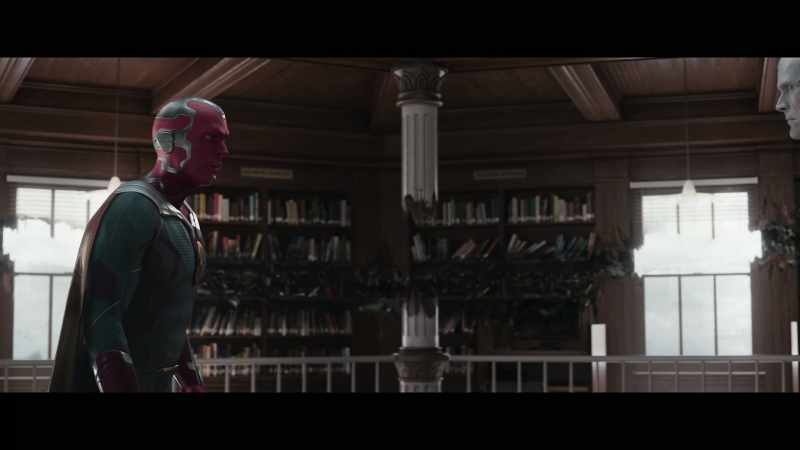 As a carbon-based synthezoid