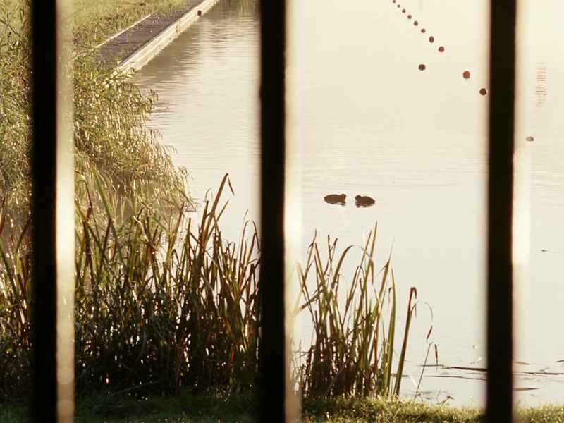 As a child, Philo Bregstein once went to the site to visit his father