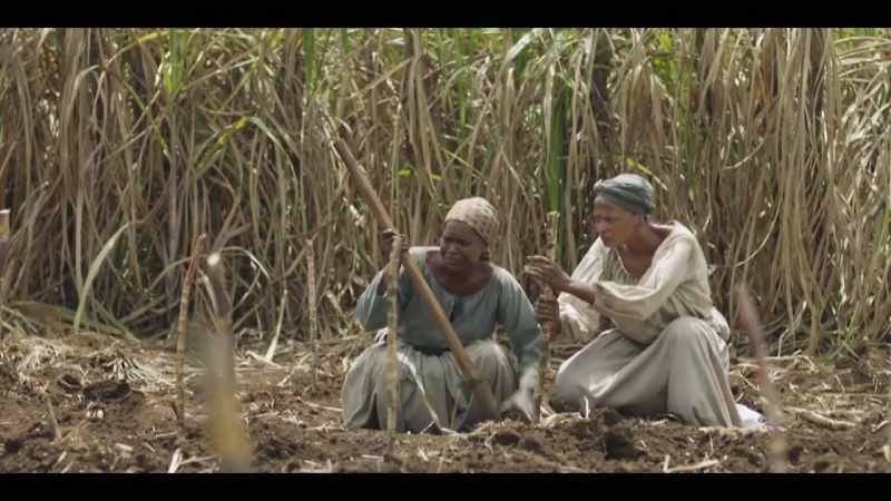 As a plantation owner