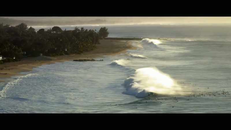 As a surfer, swimmer, diver, and ocean-goer