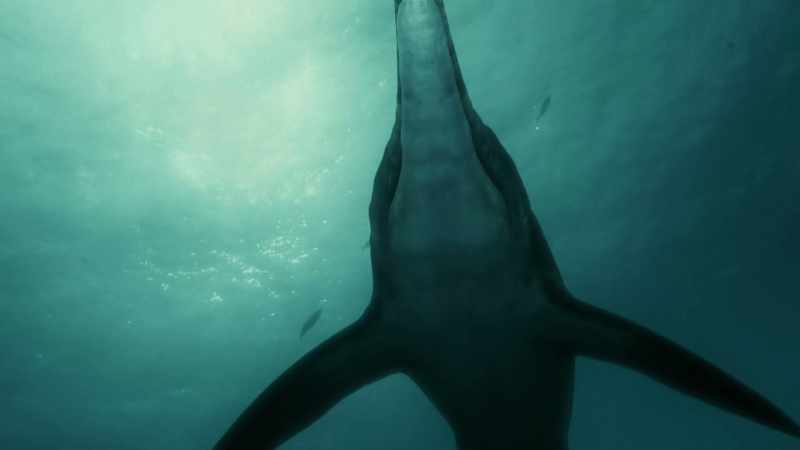 As an air-breathing creature