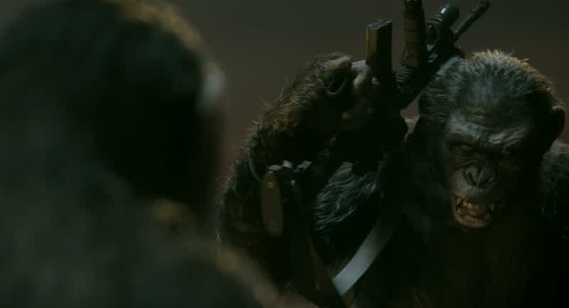 CaesarweakKoba weaker