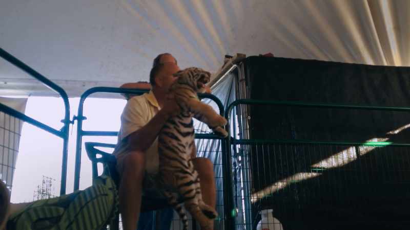 As you can see, a pissed-off tiger