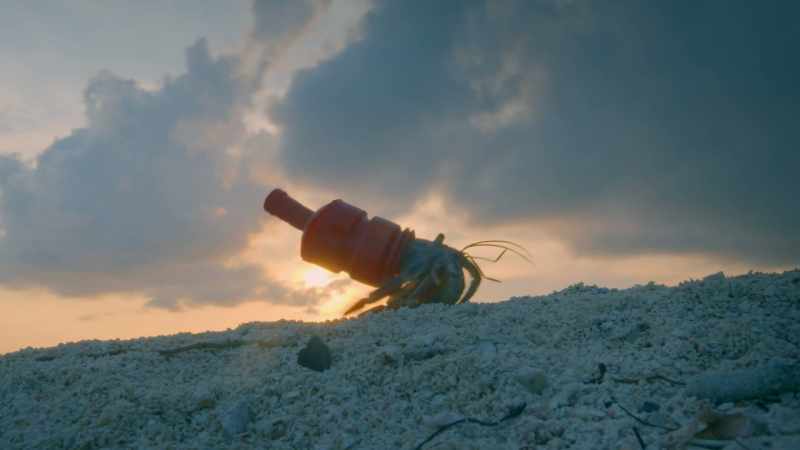 As we change our planet most life on earth struggles to keep up