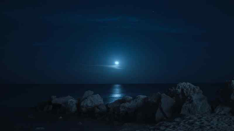 As darkness falls, her underwater world transforms