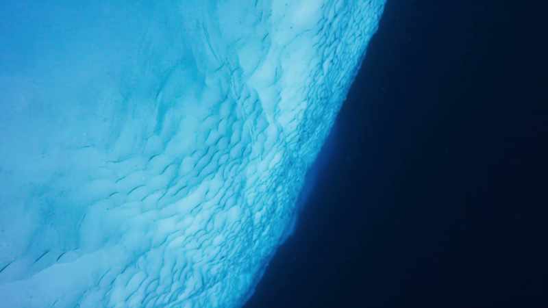 As we descend into the deep