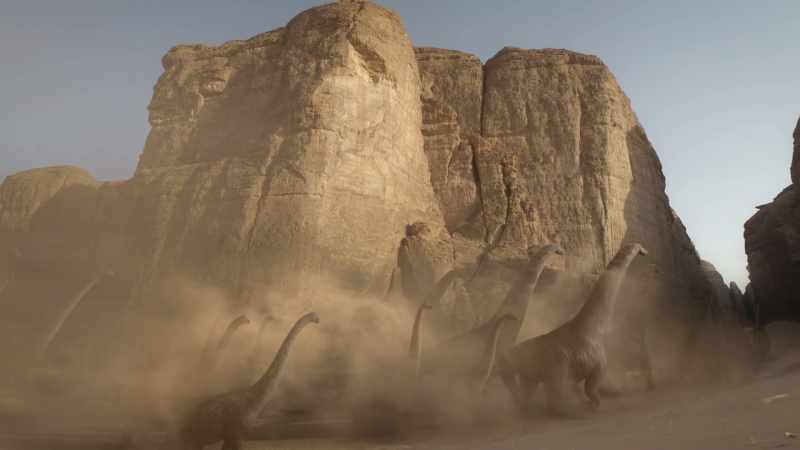 As they enter, the herd becomes nervous
