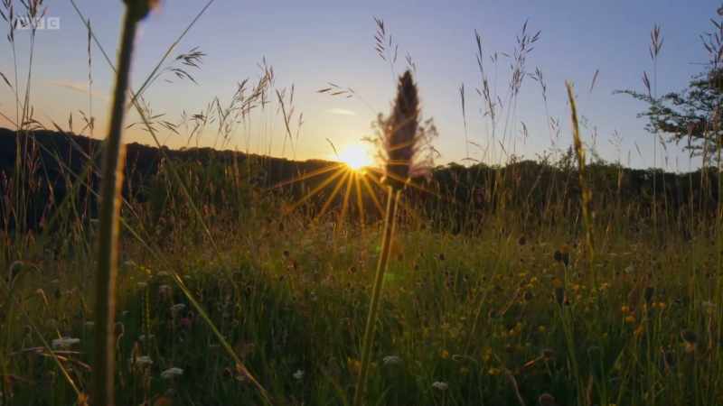 As farming has intensified