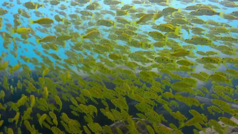 As global temperatures rise, Lake Tanganyika is warming