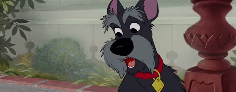 That's right Miss LadyAs my grandpappy Old Reliable used to sayI don't recollect if I've ever mentioned Old Reliable beforeAye you have laddieFrequently Yeah