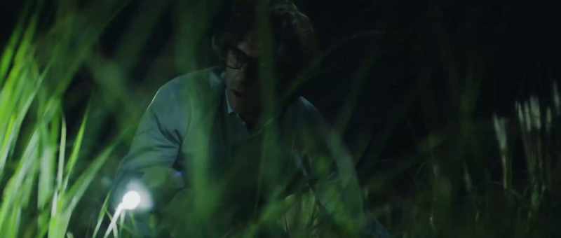 As I walked past the tall bushes