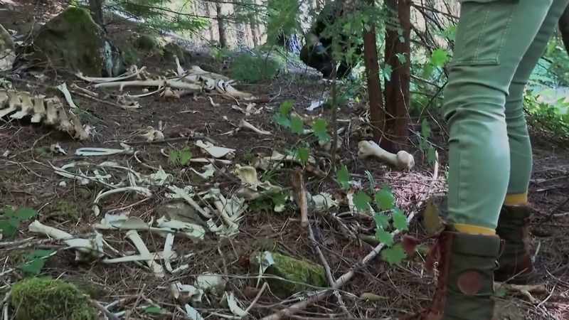 As I walked up to the scene which was, like, really gory