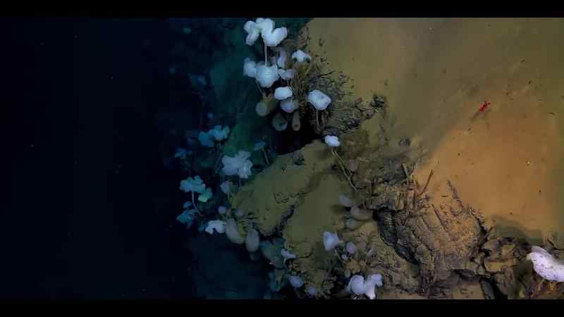 As this melting ocean becomes easier to access