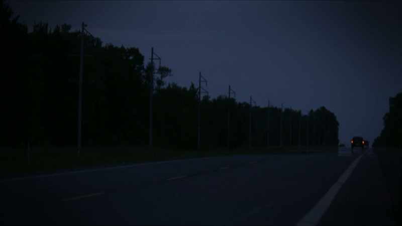 AS NIGHT FALLS, ONE OF HIS RESEARCH TEAM