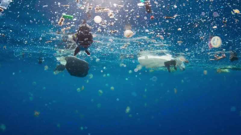 As plastic breaks down, it combines with other pollutants