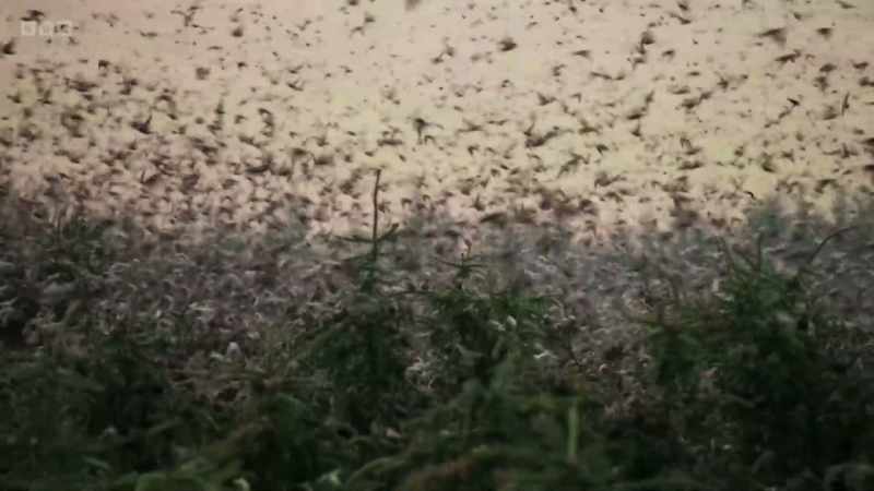 As soon as dawn arrives