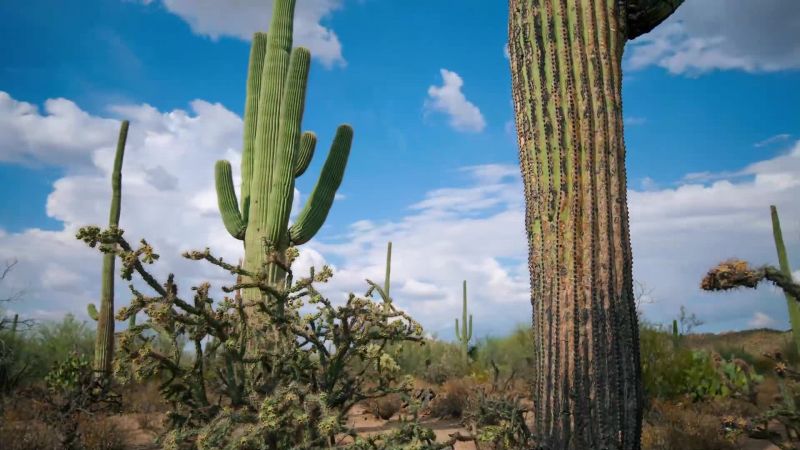 As temperatures peak, finally change is in the air