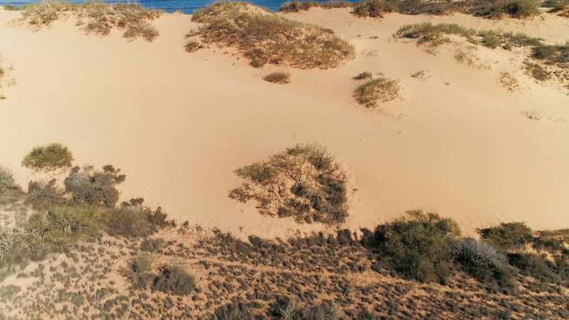As the continent continued to drift north
