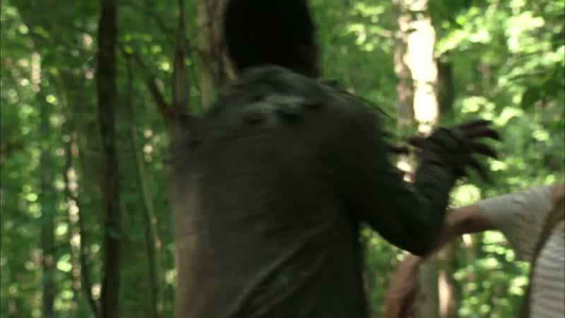 As the crow flies, my ass