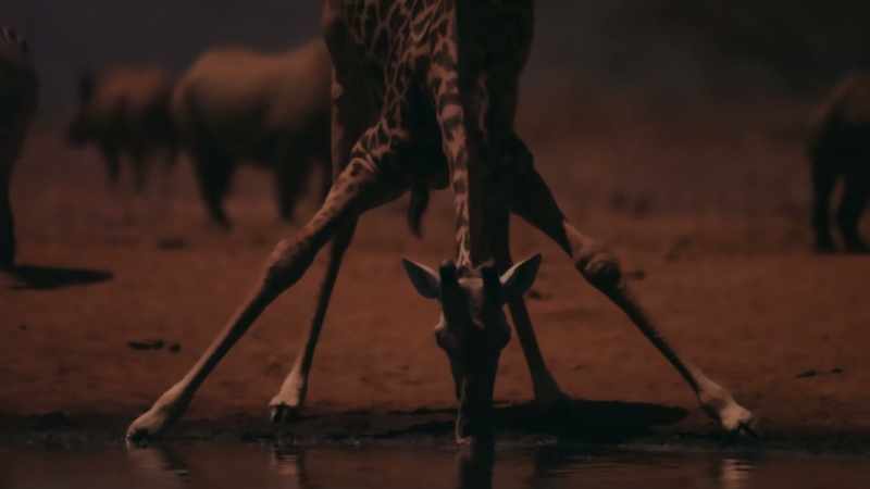 As the dry season continues