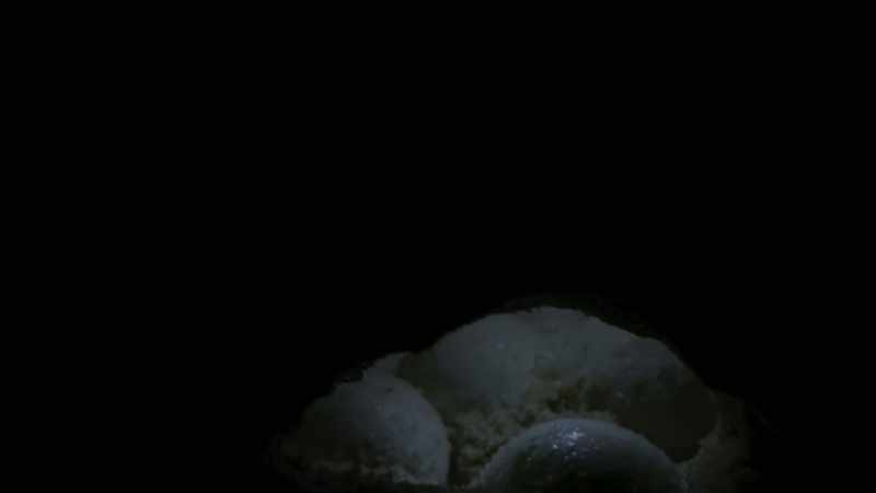 As the eggs incubate in the sand