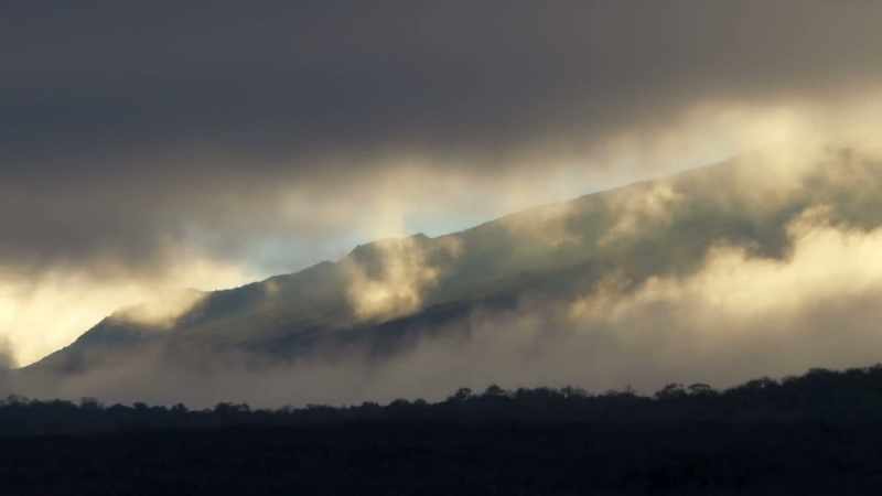 As the fog clears, a welcome sight