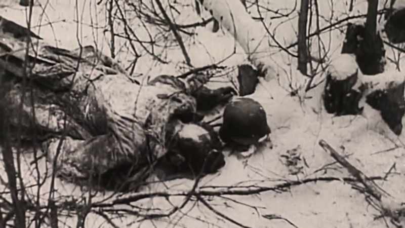As the German losses on the Eastern Front quickly grew