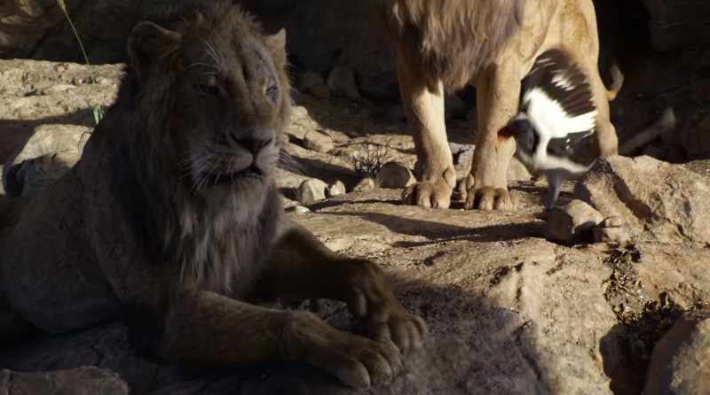 As the king's brother