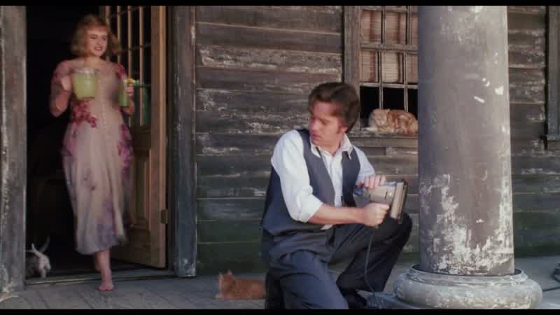 As the months passed, he found more and more things to fix, until the shack no longer resembled itself